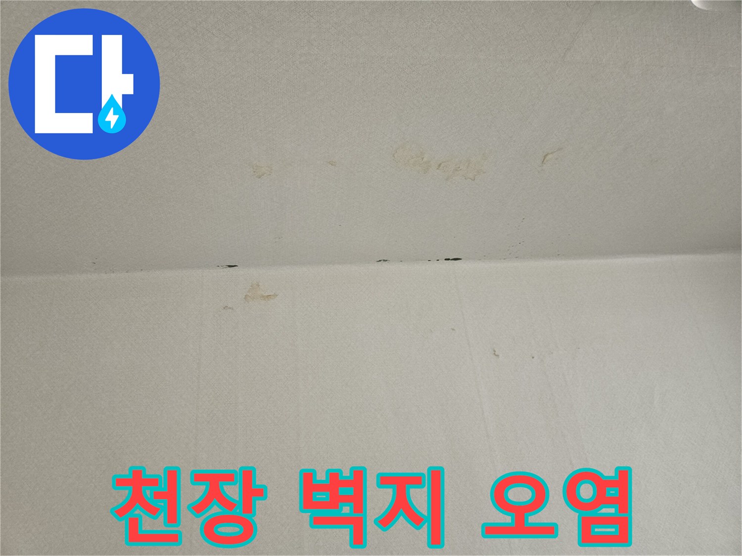 일동면 누수 현장-변색된 천장 도배지 모습