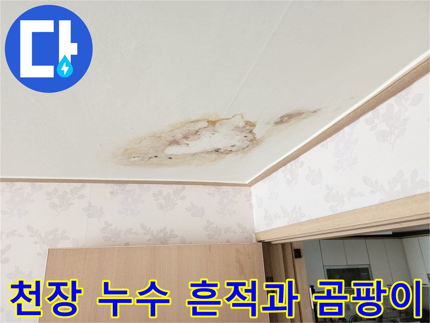 아래층 천장에 발생한 누수 얼룩과 곰팡이 상태를 보여주는 사진입니다.