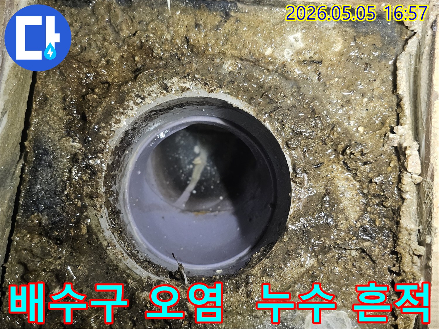 심하게-오염된-배수구-주변-누수-발생-가능성-높은-상황