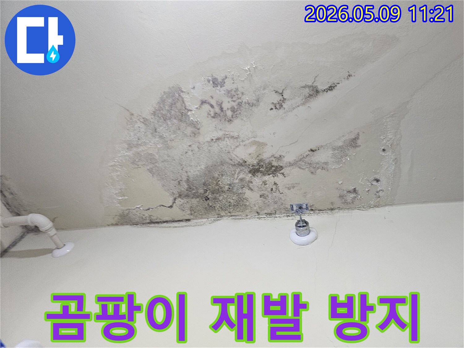 천장 누수로 인해 발생한-곰팡이와 벽지 손상을 상세히 보여주는 사진입니다