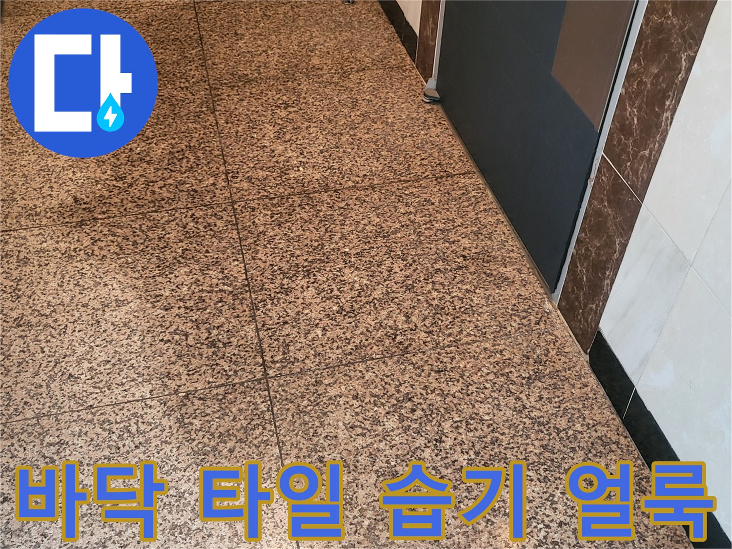 동탄 복도 바닥 타일의 물샘 흔적과 습기 점검