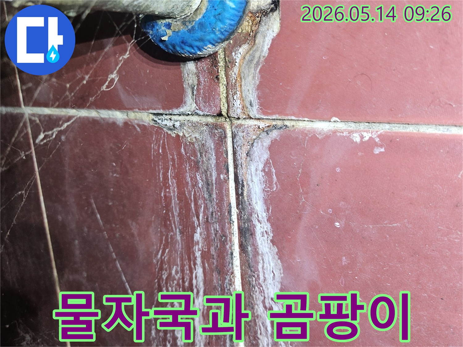 벽면 타일과 배관 연결부에서-장기간 지속된 누수로 인한-하얀 결정체와 검은 곰팡이-피해 상황을 보여주는 이미지