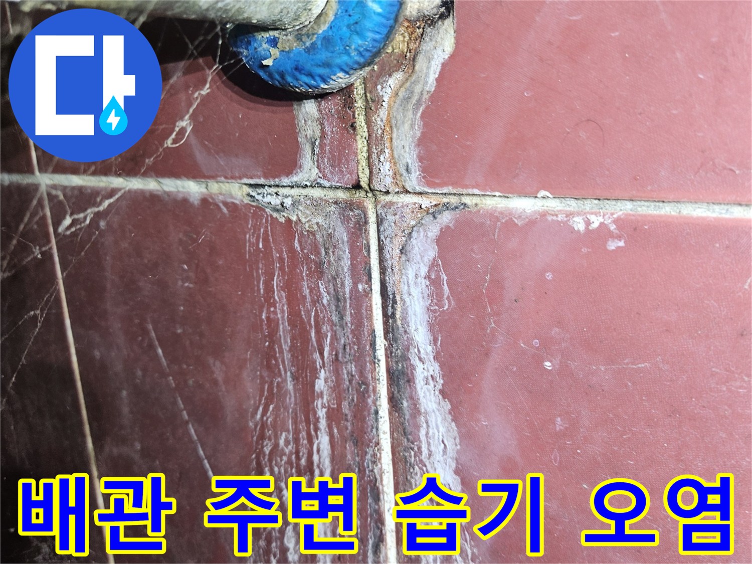 천장-배관-연결부-주변의-하얀색-오염물질