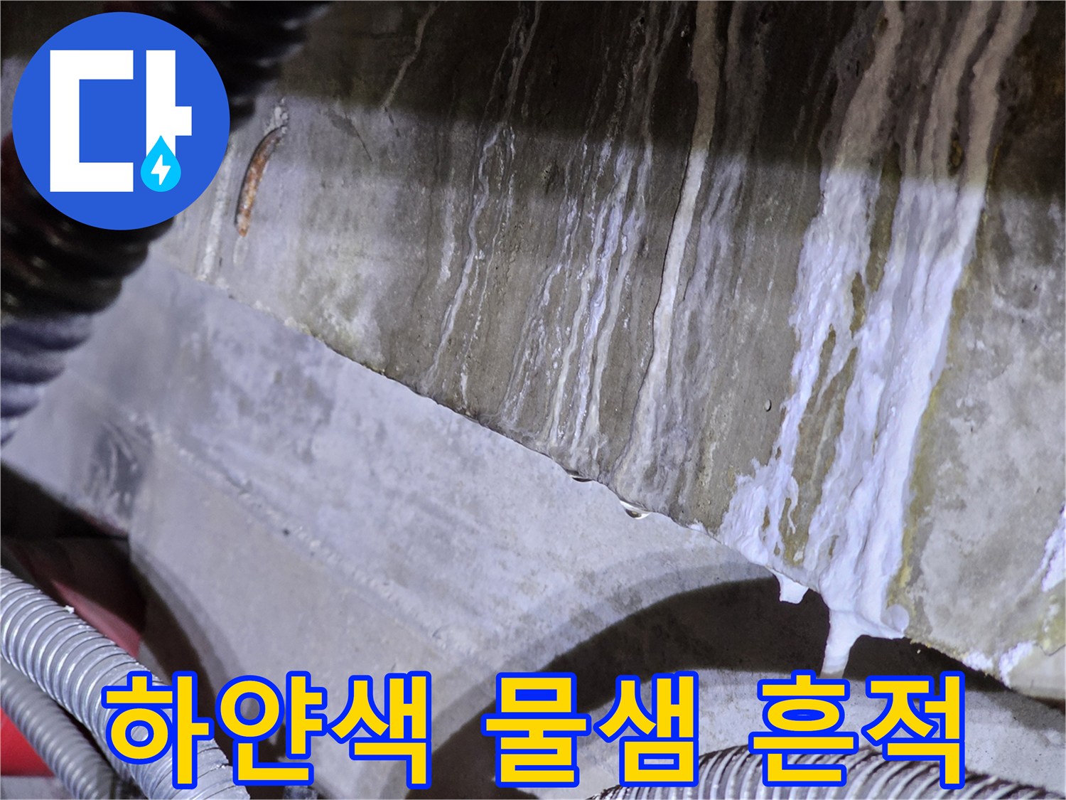콘크리트 벽면을 수직으로 타고 내려온 하얀색 자국