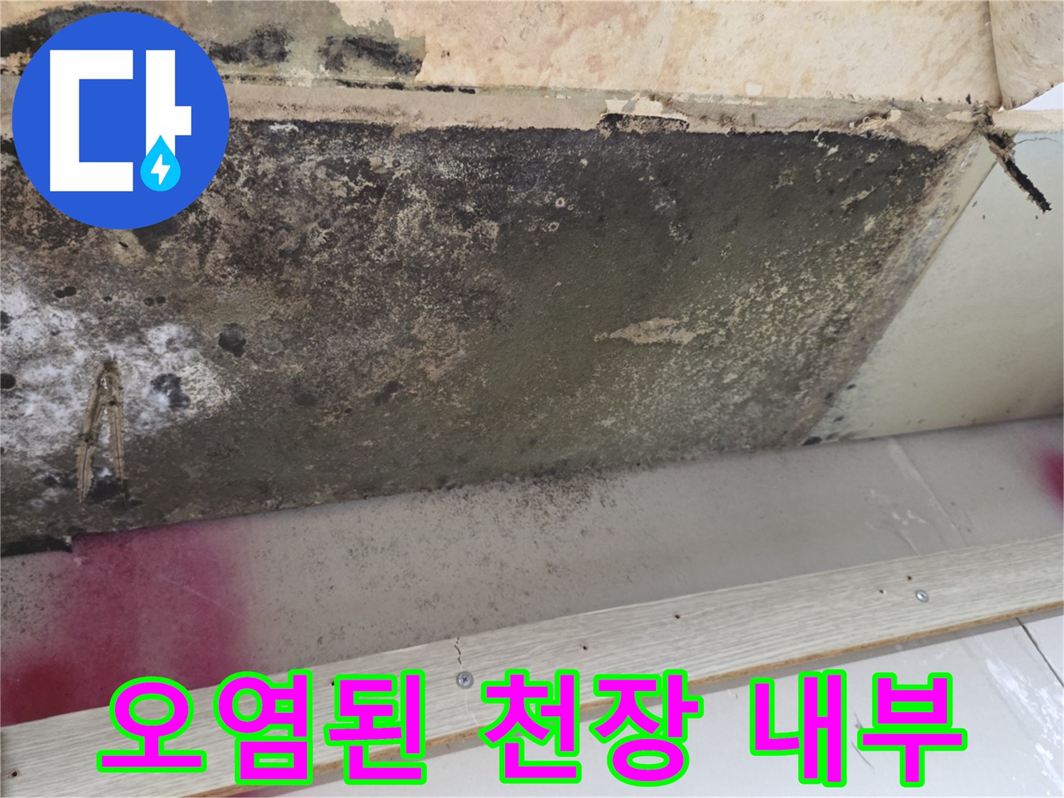 곰팡이와 습기로 인해 오염된 주방 천장 마감재
