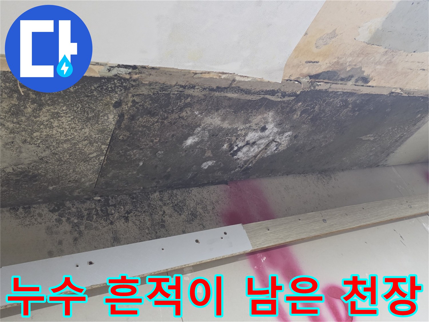 누수 피해 현장-곰팡이와 얼룩이 심한 천장 마감재