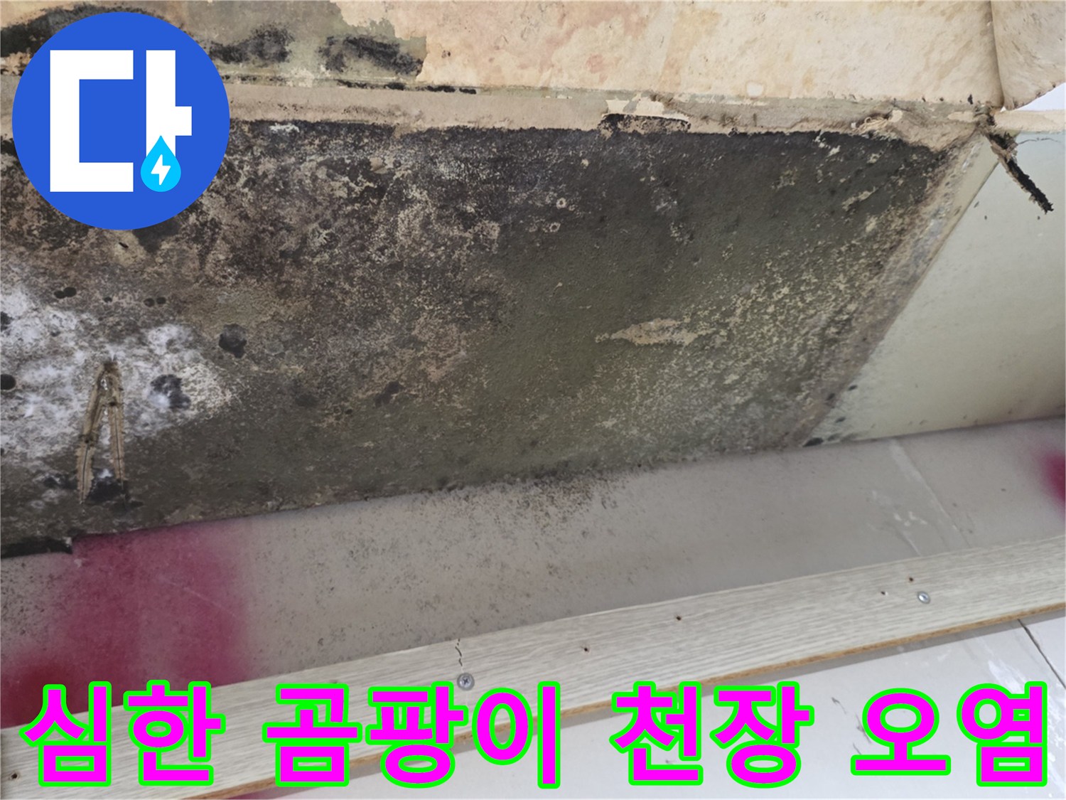 누수로 인한 천장 마감재의 곰팡이와 변색 부위