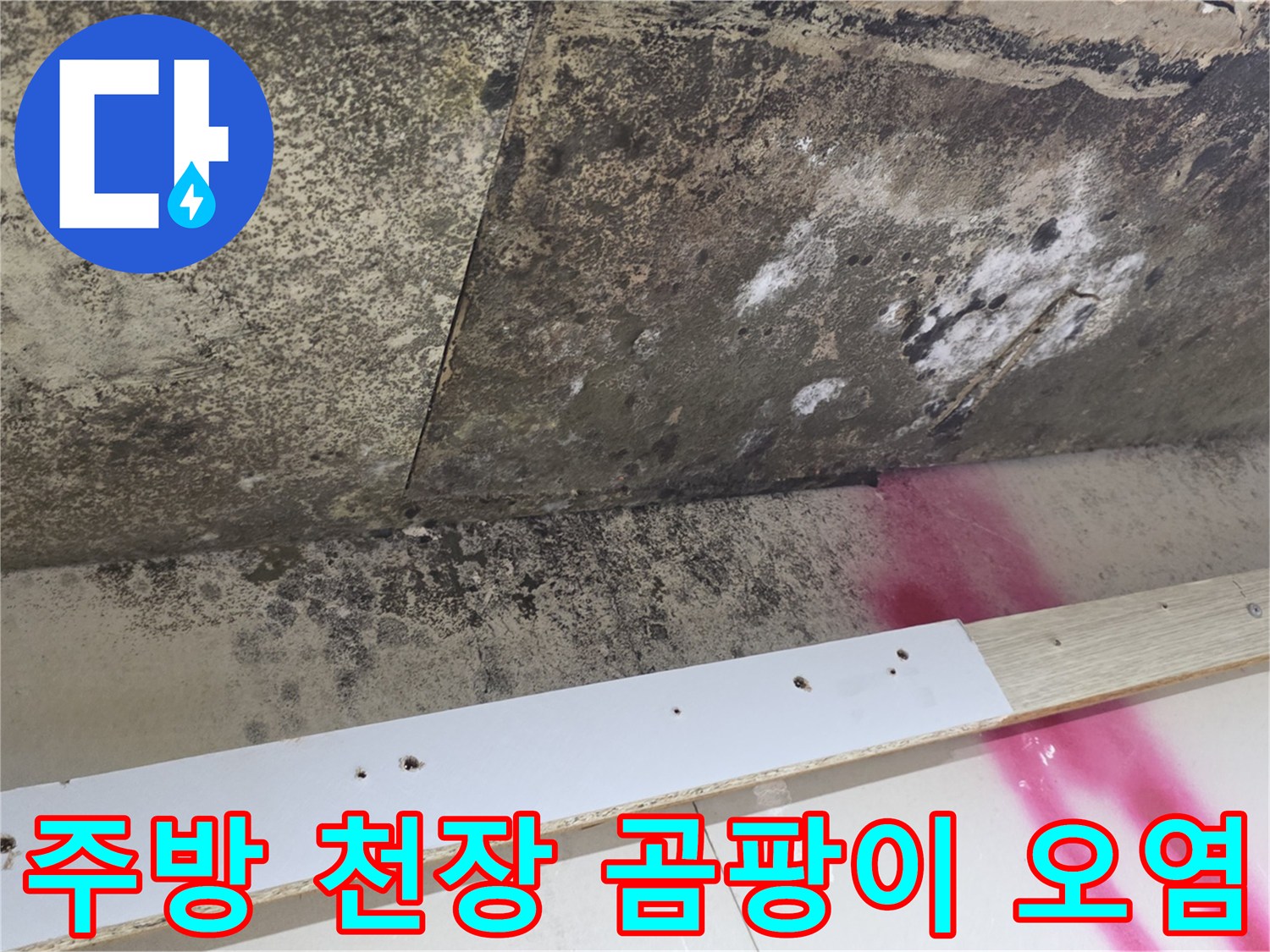 도봉구 아파트-주방 천장의 심각한 곰팡이와 습기 오염 상태