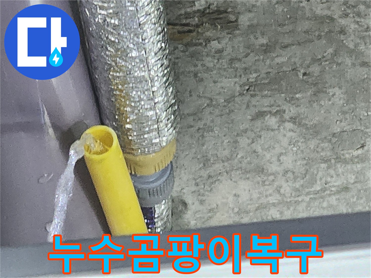 누수 엔지니어가 곰팡이 발생을 유발하는-배관 누수 지점에서-물이 뿜어져 나오는 것을 확인하고-위생 환경 복구를 준비하는 모습