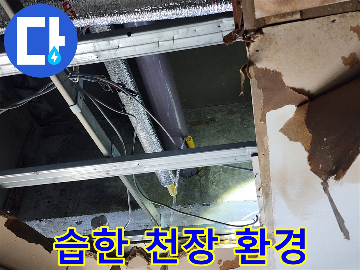 천안-동남구-누수-현장에서-천장-내부가-습하고-어두워-곰팡이-발생이-우려되는-환경을-보여줍니다