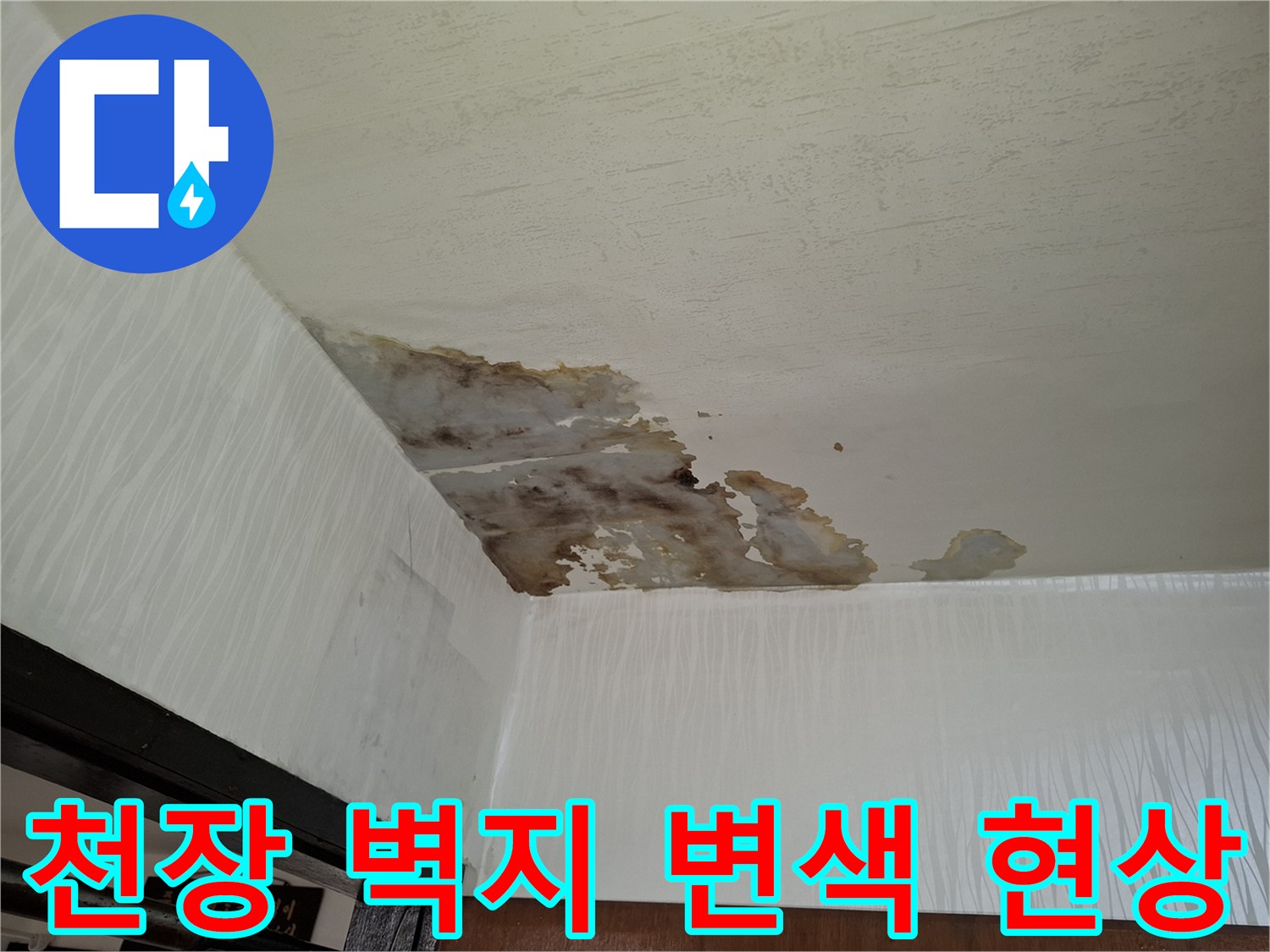 거실 천장-벽지가 젖어 변색된 모습