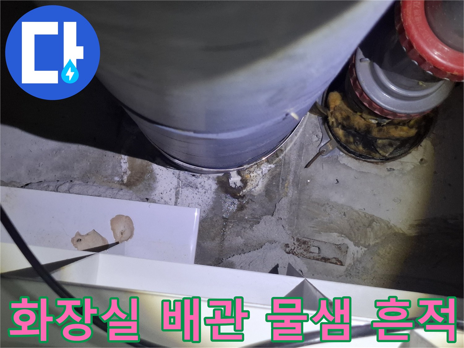 파주 금촌동 현장의-오수관 주변-누수 발생 부위