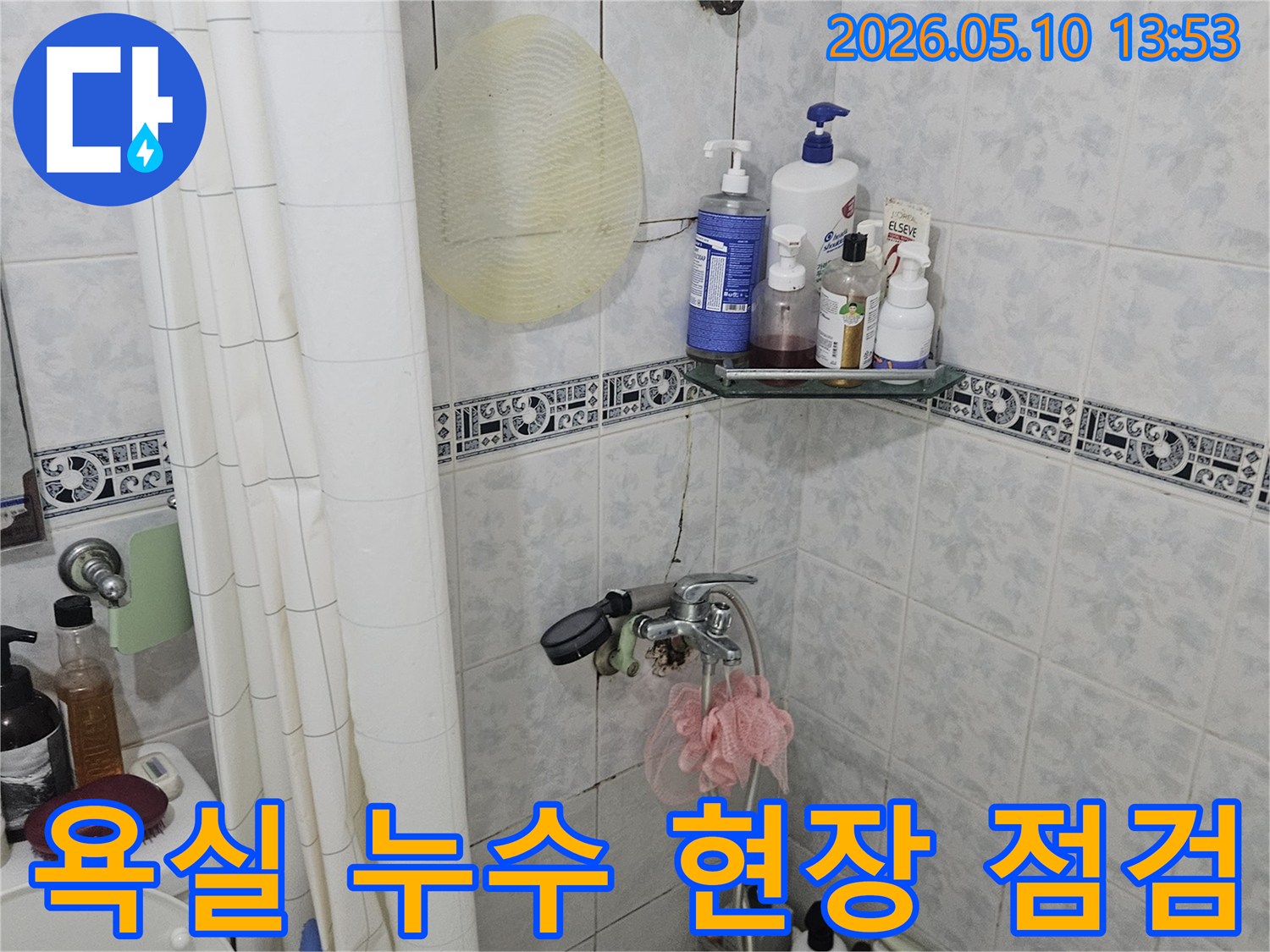 욕실 샤워 공간에서 누수 원인을 파악하기 위한 현장 점검 모습