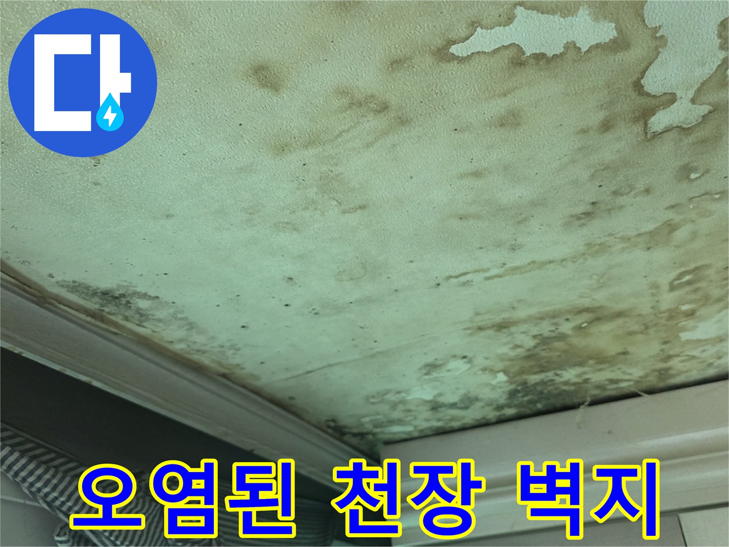 천장 벽면 상태 - 물샘으로 인해 변색되고 부풀어 오른 부분