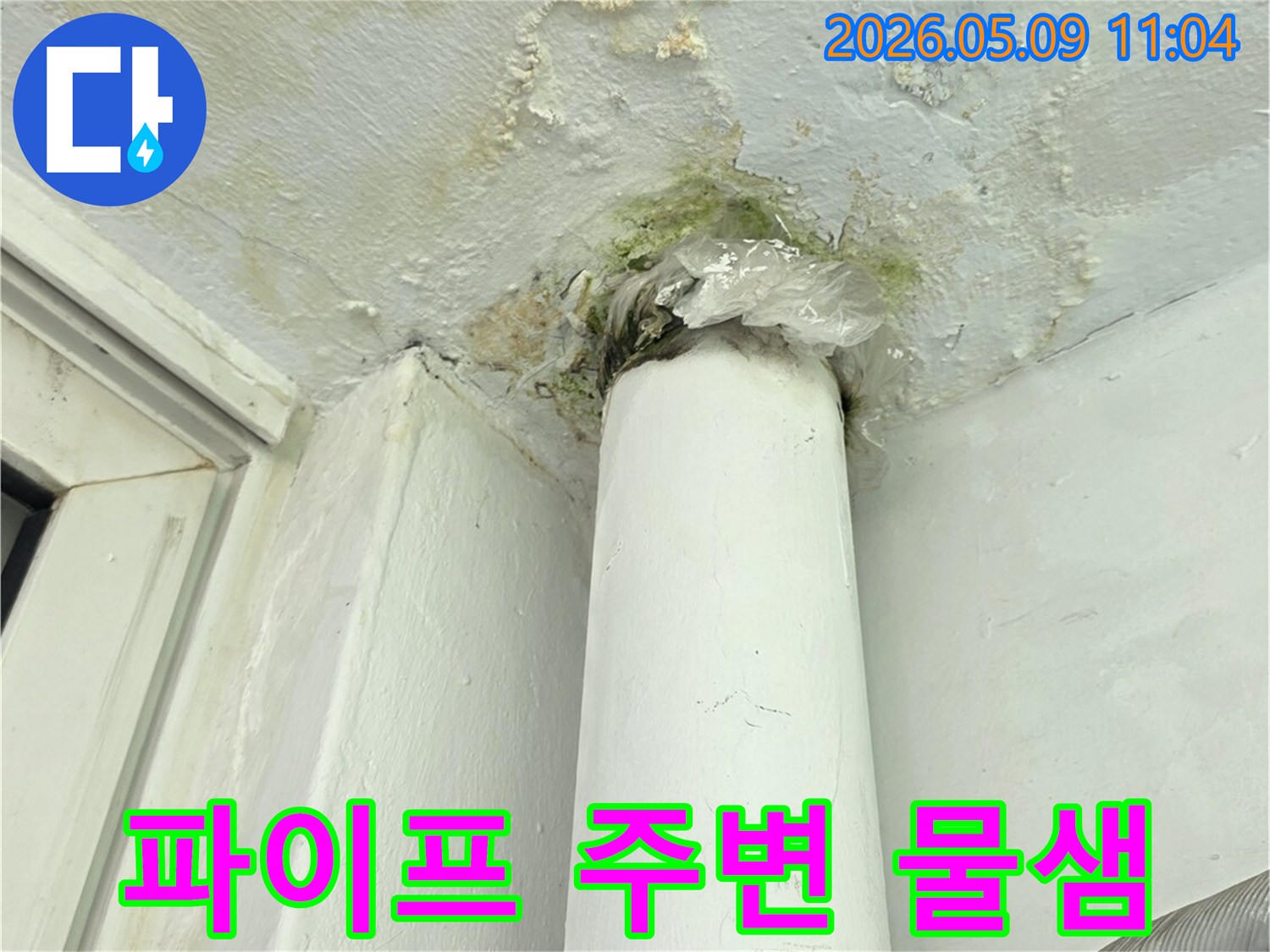 물이 새어-벽지가 젖고-곰팡이가 번진-베란다 모서리-누수 현장