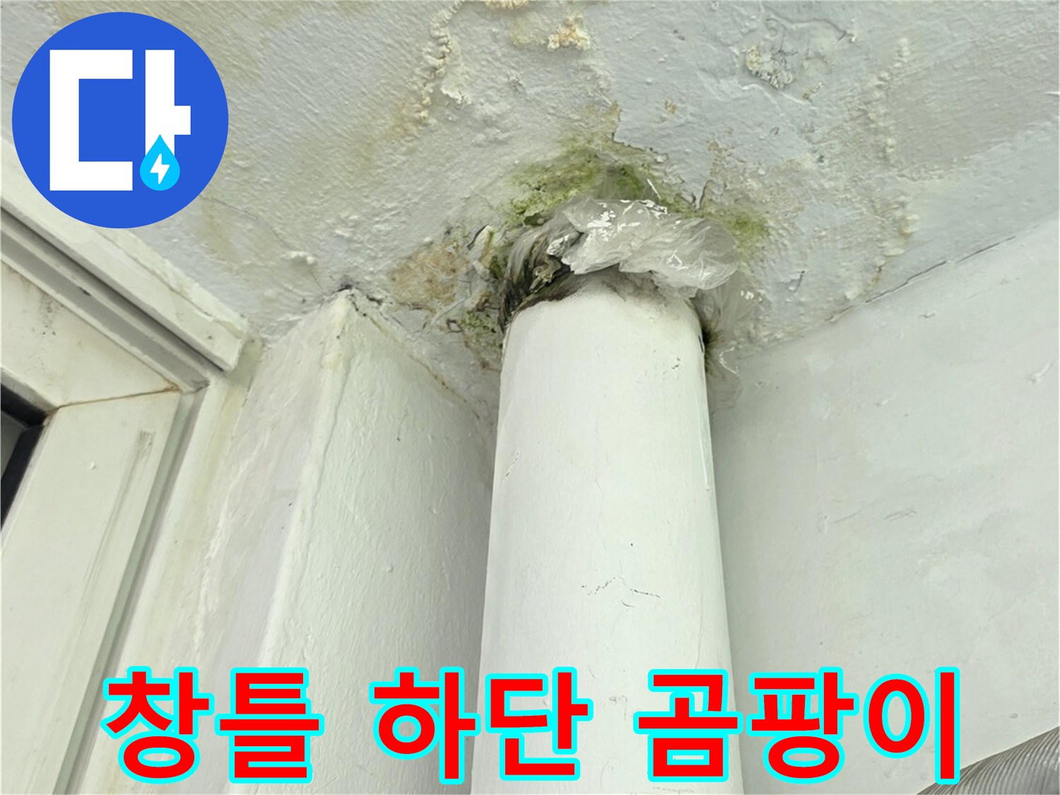 습기로 인해 곰팡이가 발생한 창틀 근처 벽면 부위