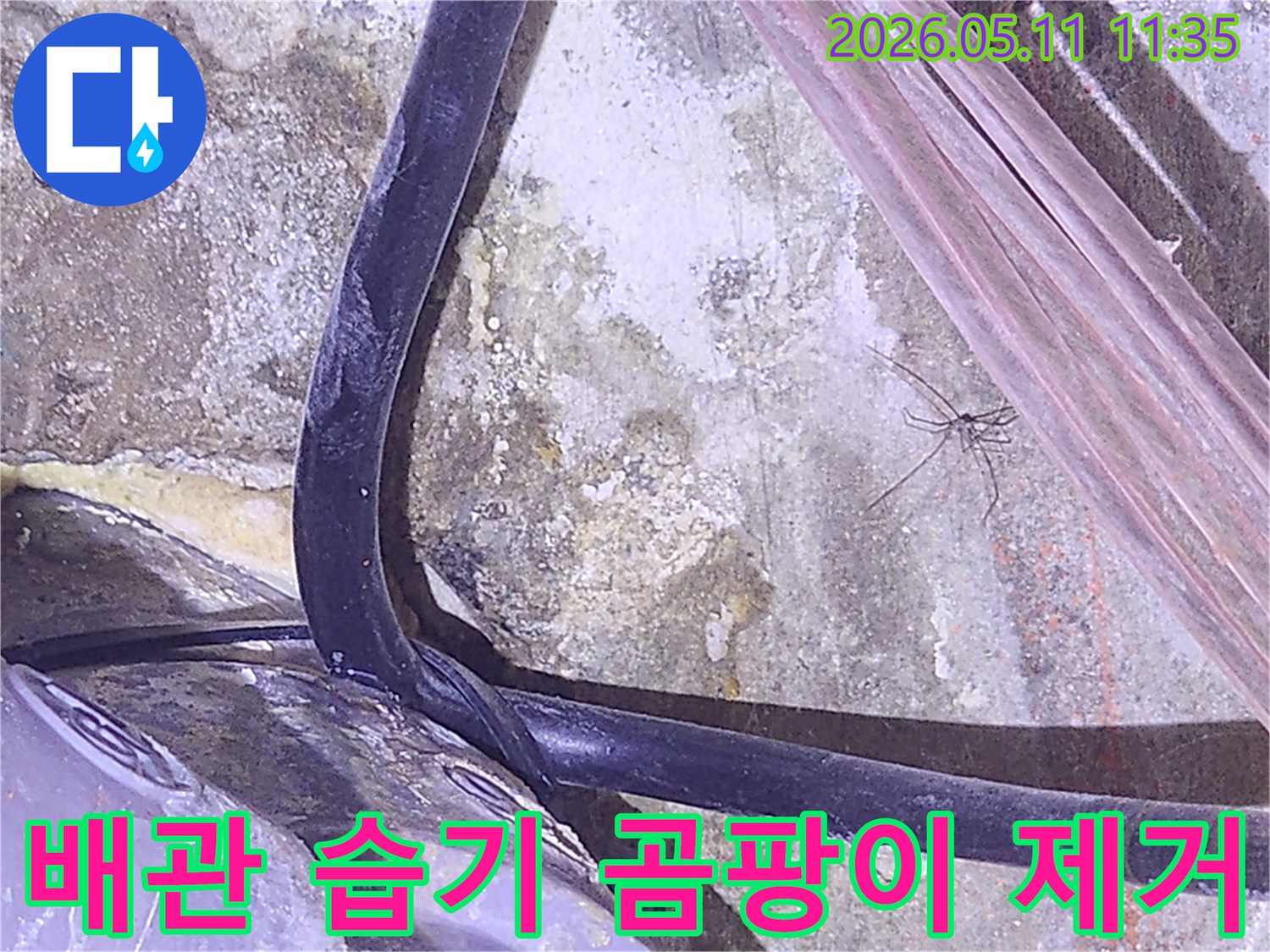 누수로-인한-배관-주변의-습기와-곰팡이를-제거하기-위해-현장을-점검하는-사진