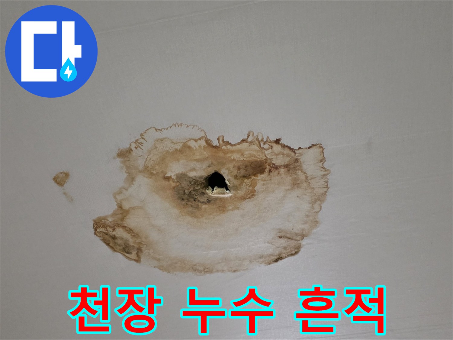 누수가 진행된 천장 벽지의 갈색 얼룩과 변색 부위