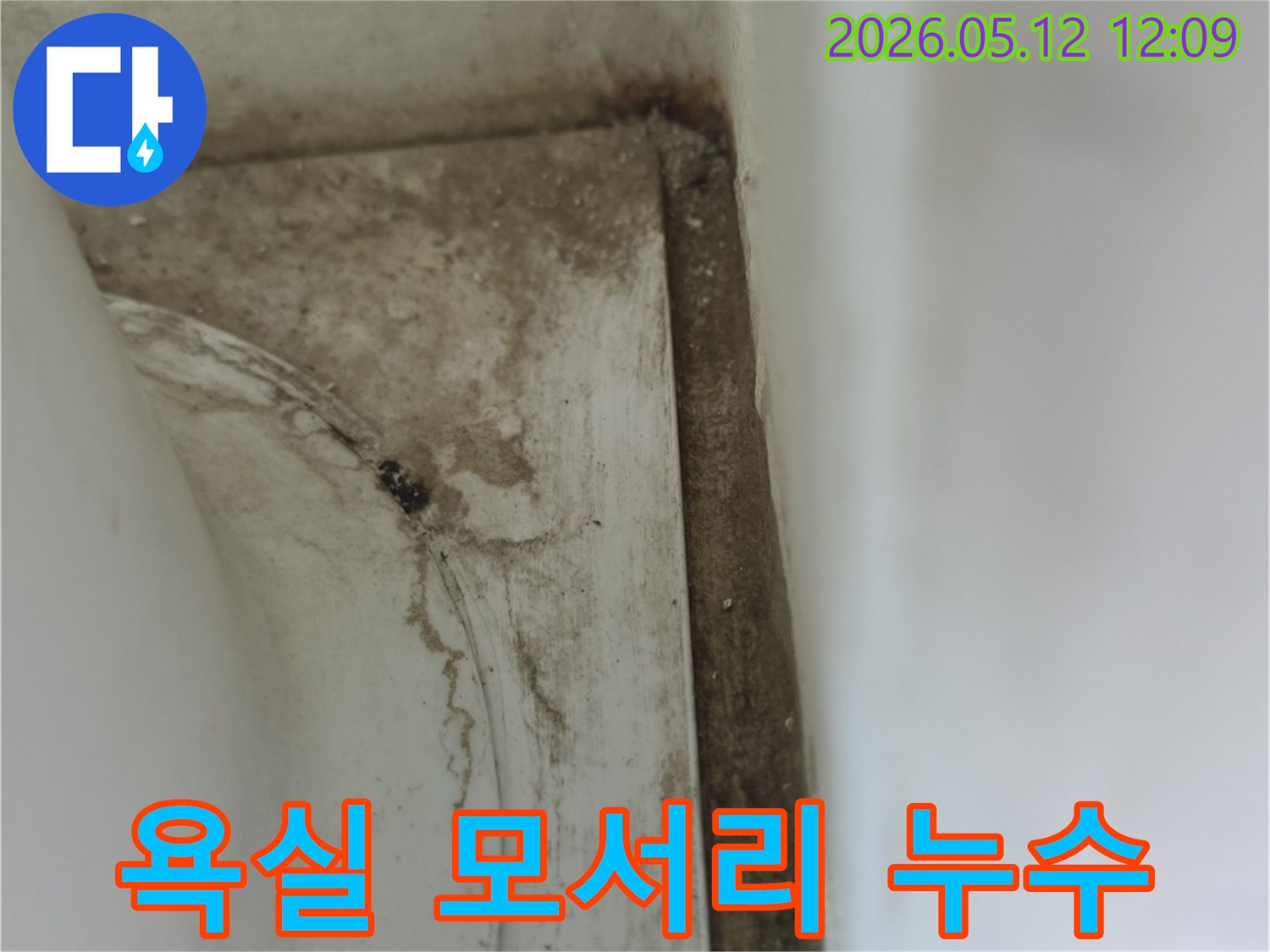 욕실-모서리-부분에-발생한-물샘-자국과-곰팡이로-인한-오염-현상