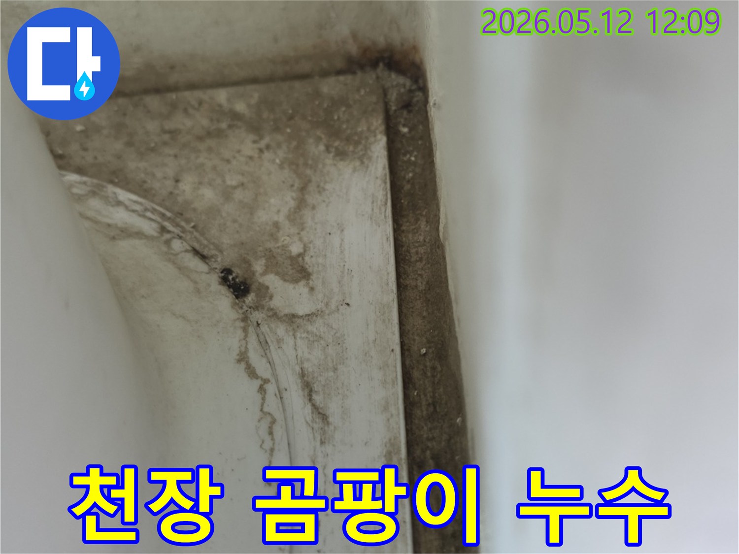 욕실-천장-모서리에-발생한-누수로-인한-심각한-곰팡이-오염과-물때-자국