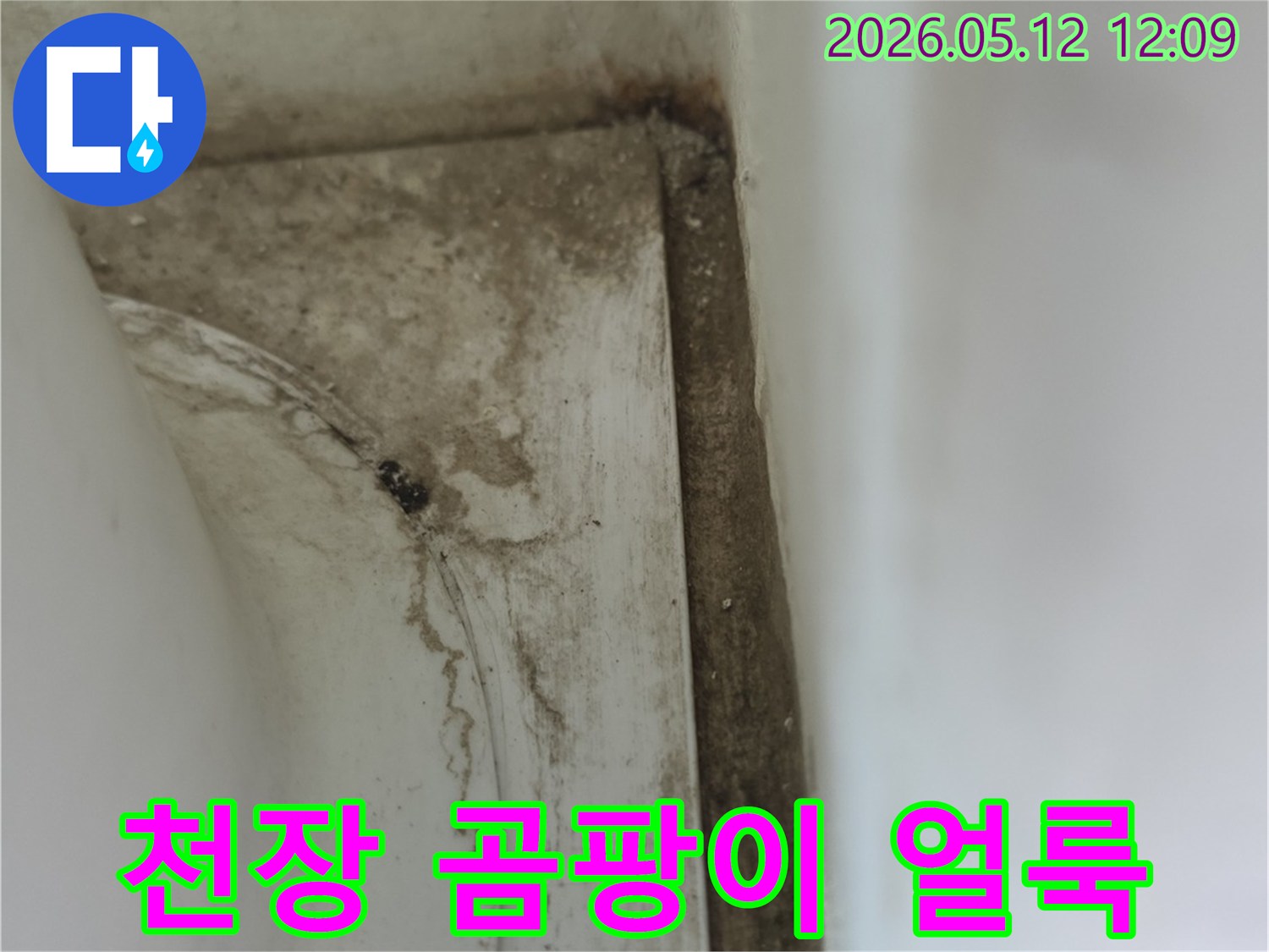 욕실-천장-모서리에-발생한-누수로-인한-심각한-곰팡이-오염과-물때-자국
