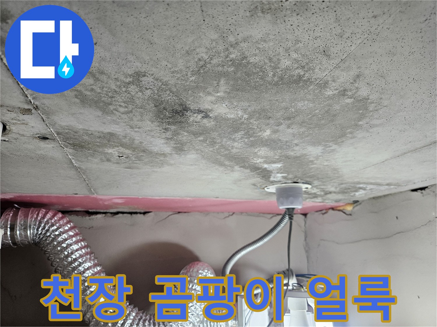 서산 아파트 화장실 천장-광범위한 곰팡이와 물자국 상태
