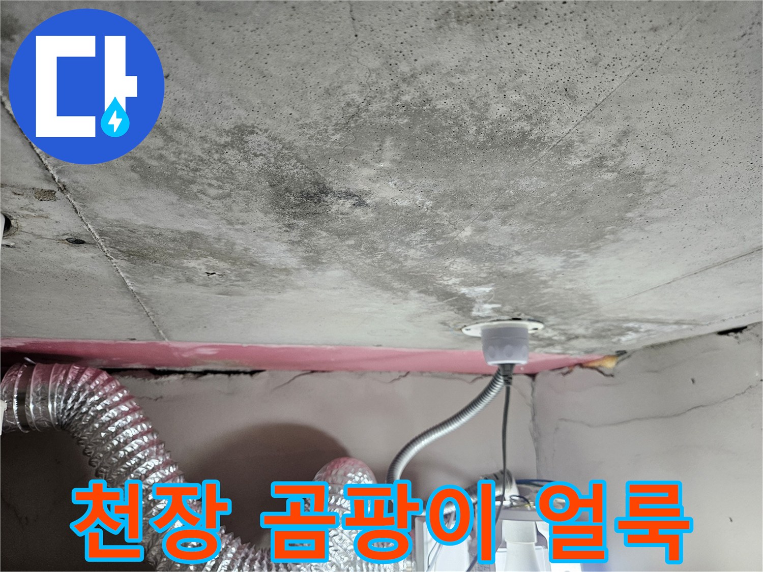 아파트-화장실-천장-콘크리트-면의-곰팡이와-물자국