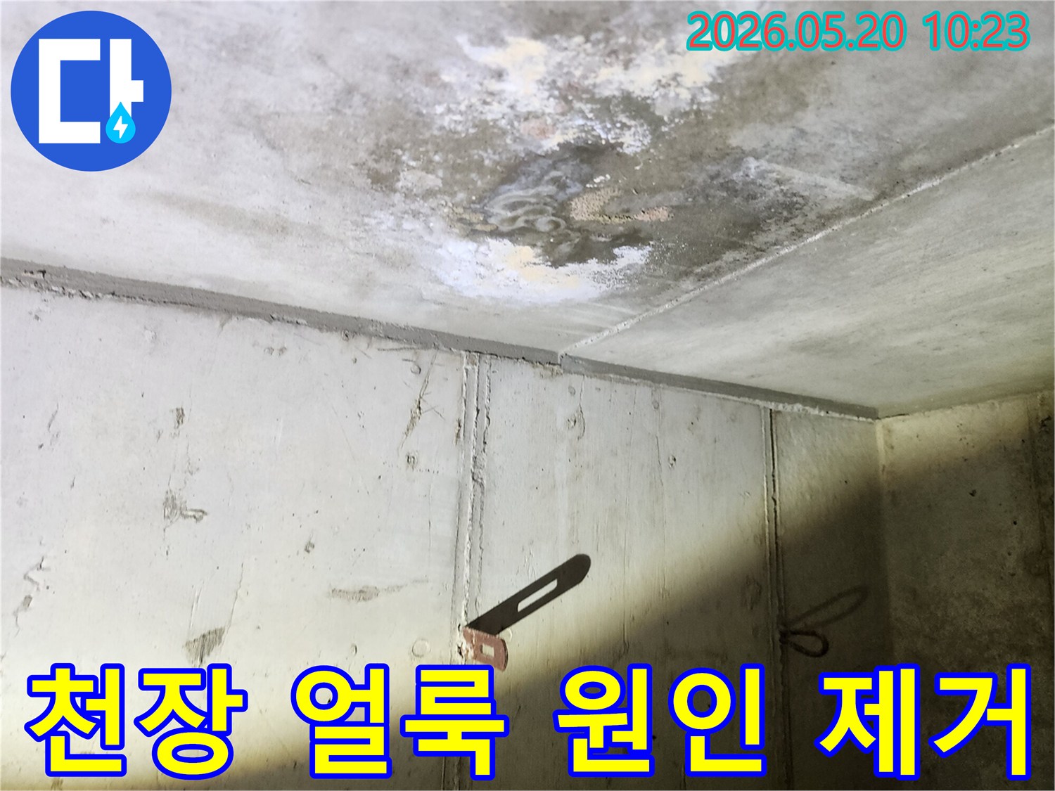 천장에 발생한 얼룩과-곰팡이의 근본적인 원인을-찾기 위한 현장 진단 모습