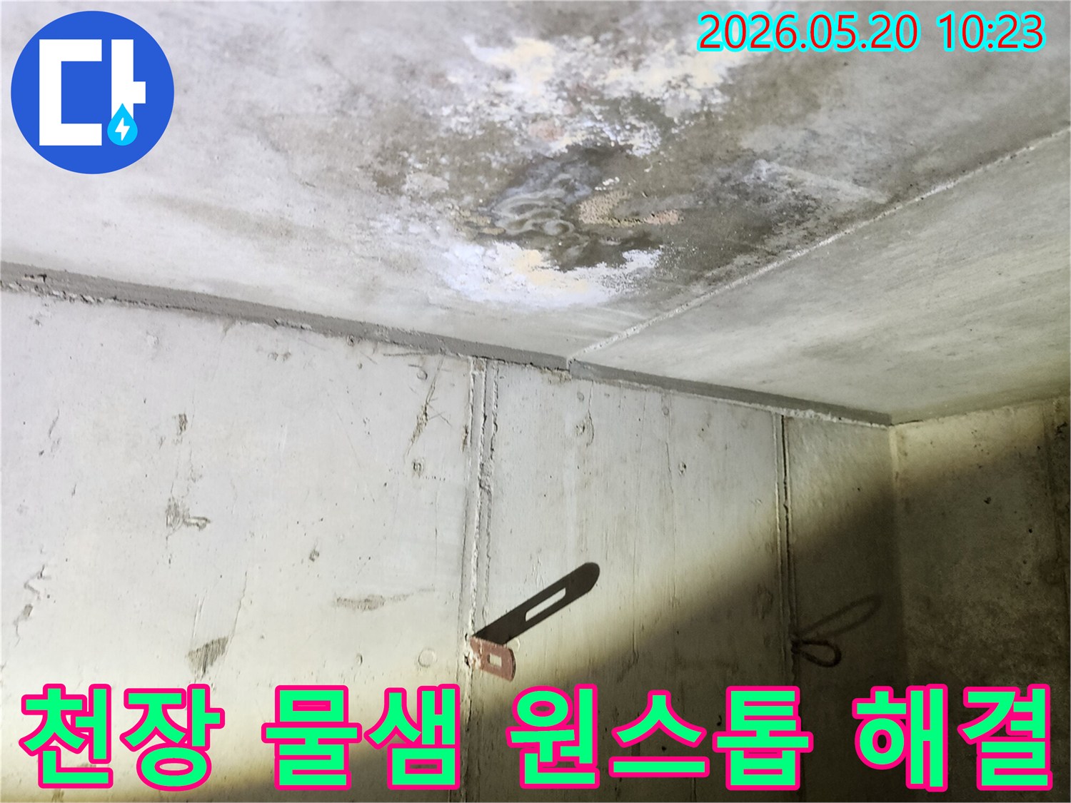 천장에서 물이 새어-콘크리트 표면에 생긴-물자국과 곰팡이를-누수탐지부터 복구까지-원스톱으로 해결하는 모습