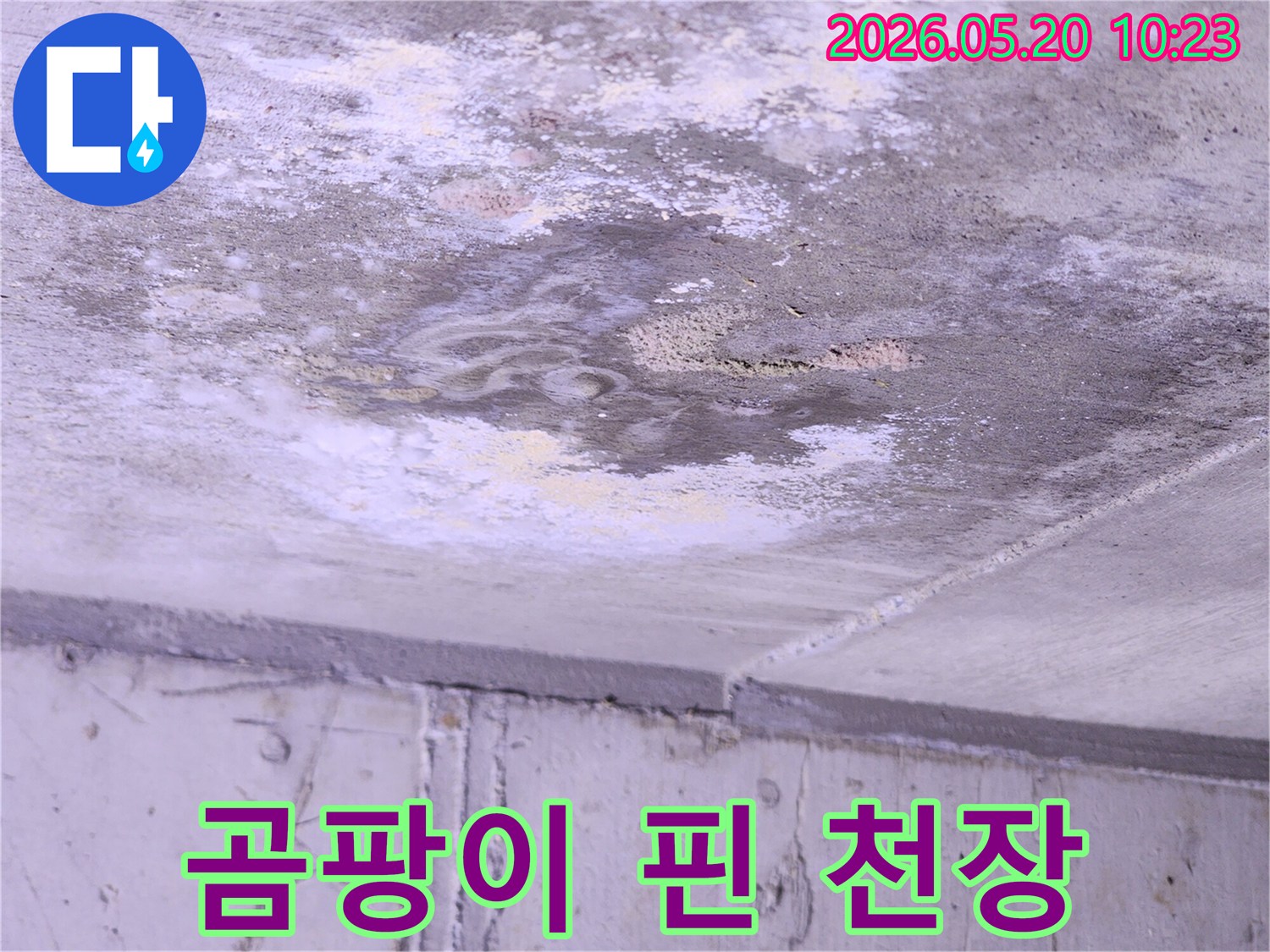 콘크리트-균열을-따라-물이-새어-나와-천장에-얼룩과-곰팡이가-생긴-모습입니다