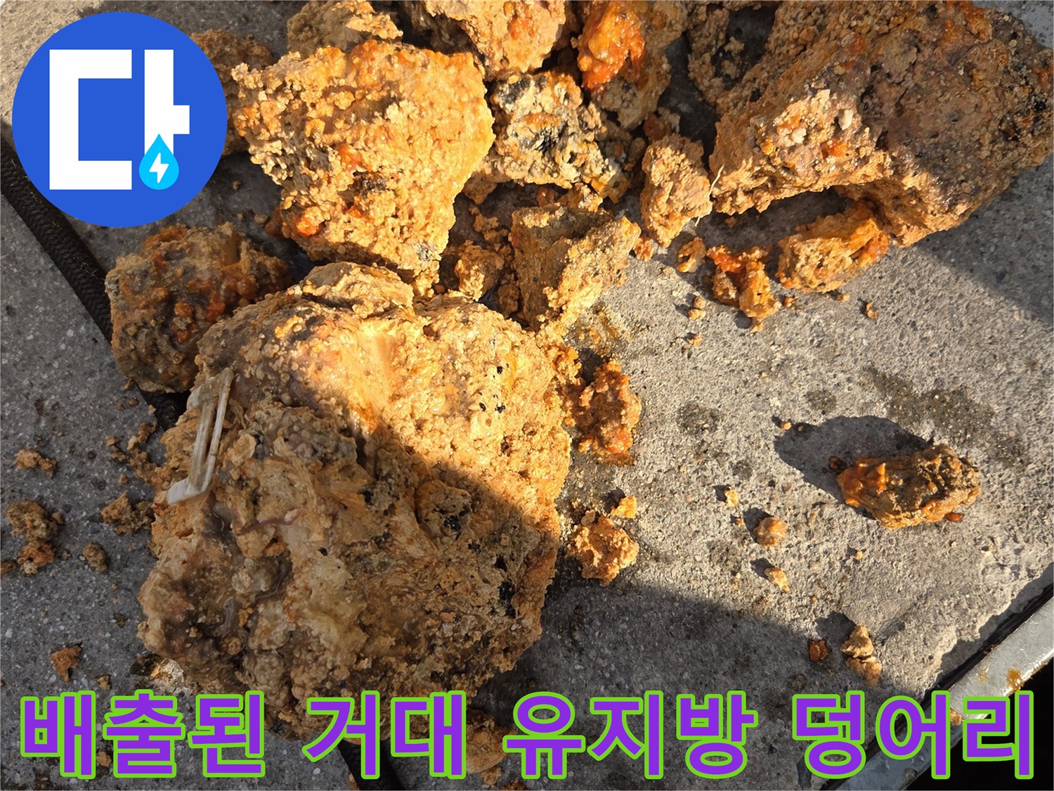 하수관에서-추출된-단단한-기름 슬러지 조각