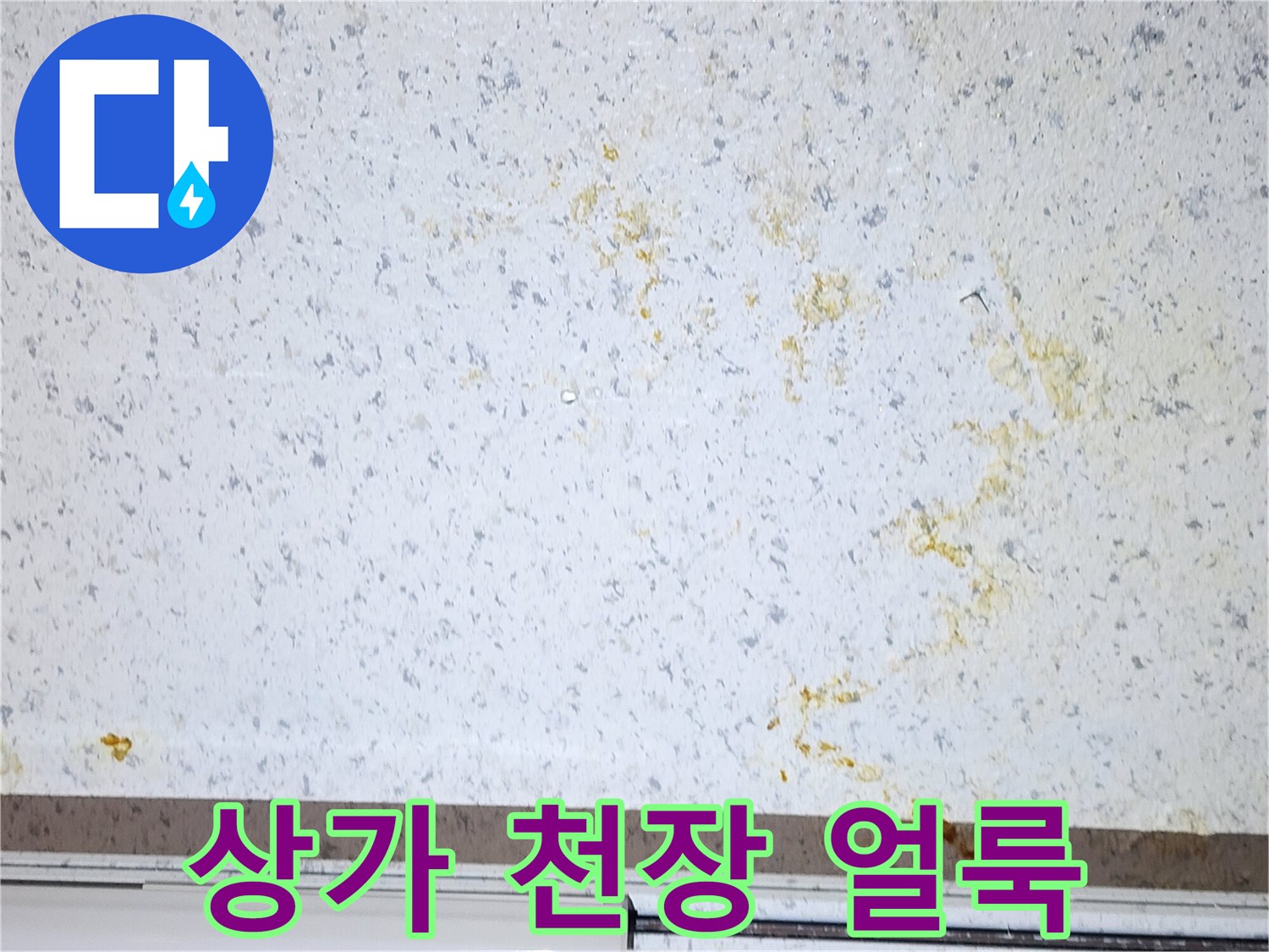 강서구-상가-천장-물샘-흔적-사진