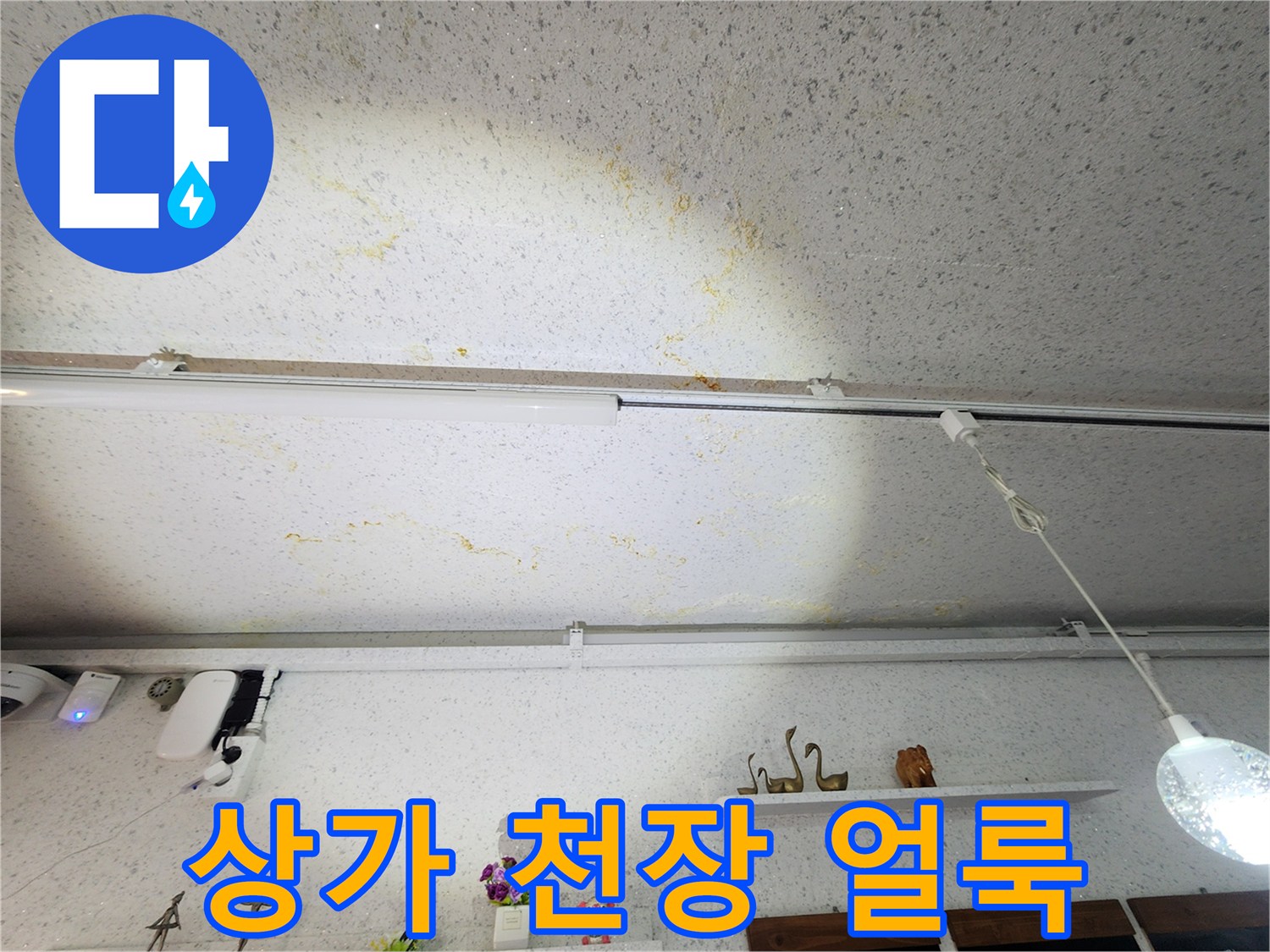 강서구-상가-천장-부분적인-황색-얼룩-현상