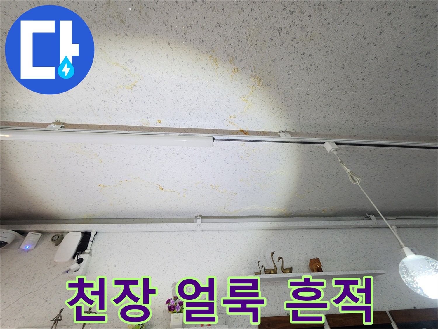 강서구 상가 천장에 발생한 누수 물자국과 얼룩 상태
