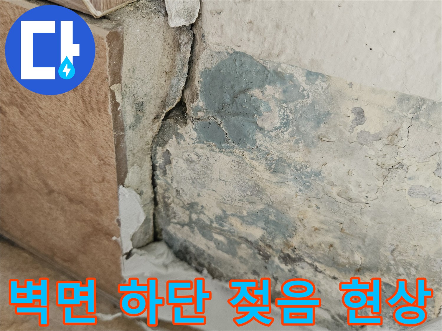 균열된 타일 틈과 곰팡이가 발생한 벽체 모습