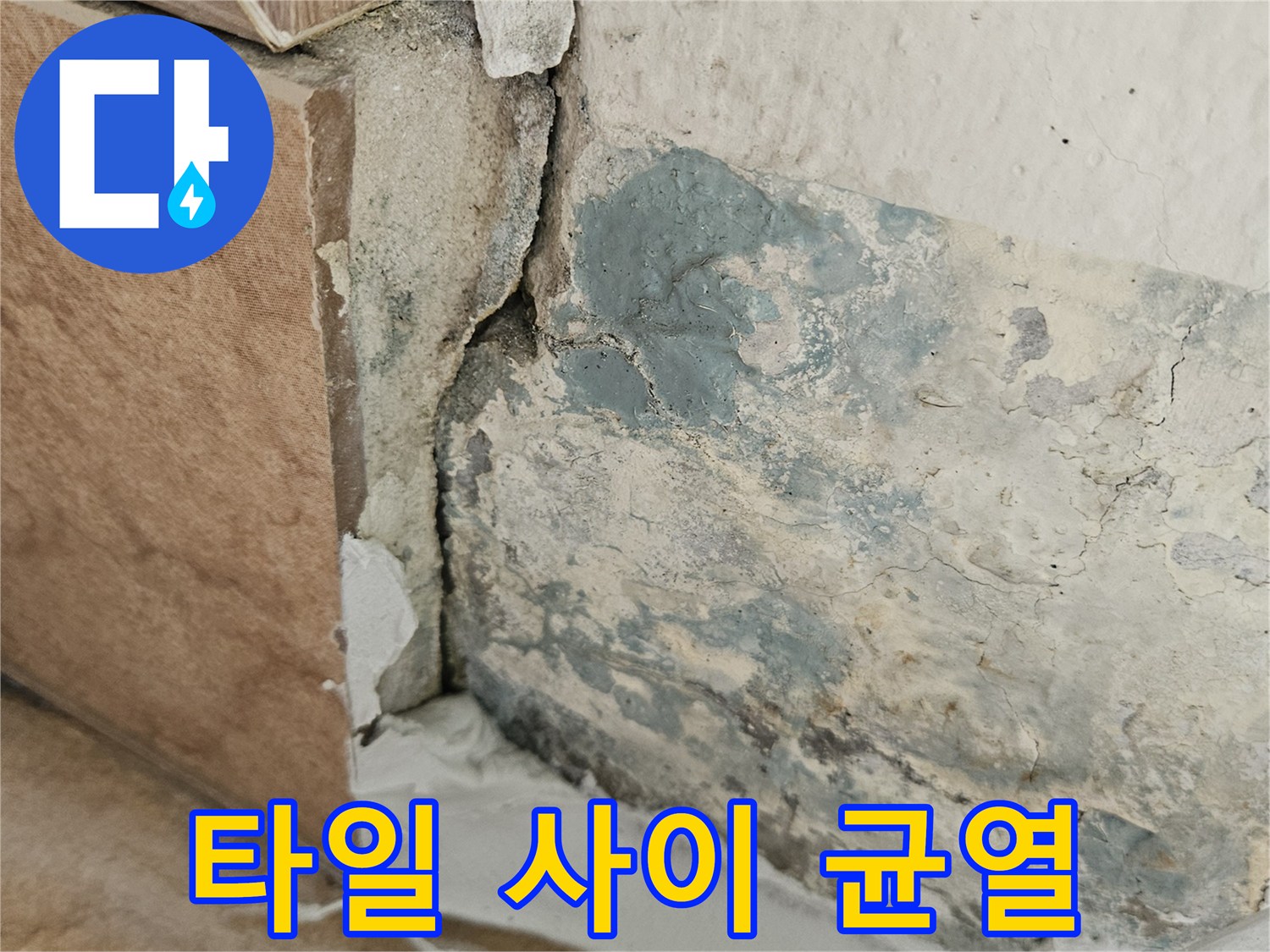 누수가 발생한 타일 줄눈과 벽면의 오염된 모습
