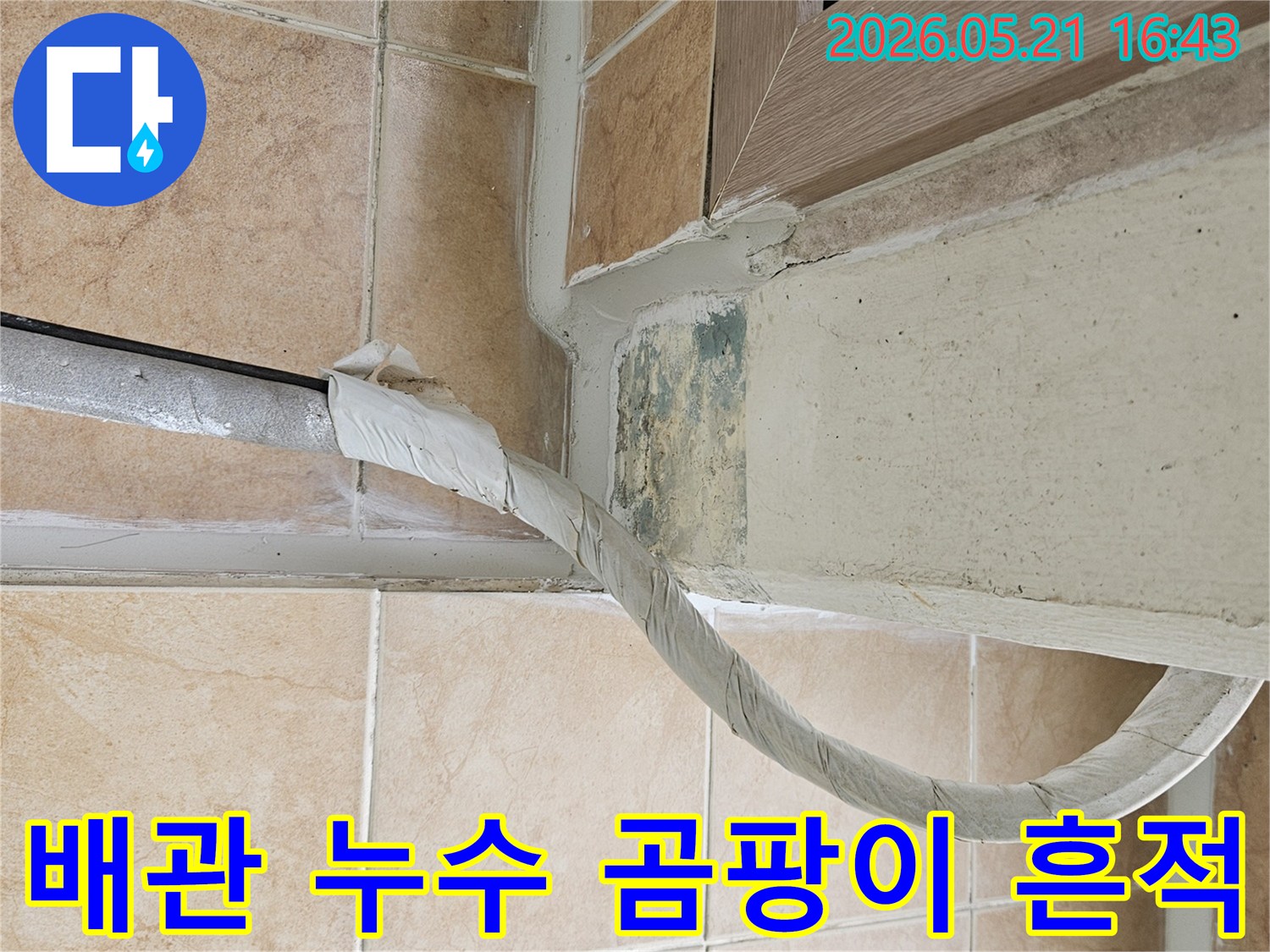 이 사진은-포천 신북면 아파트의-벽면 하단에-발생한-녹색 곰팡이와-단열 처리된-배관의-접합부를-클로즈업하여-보여줍니다