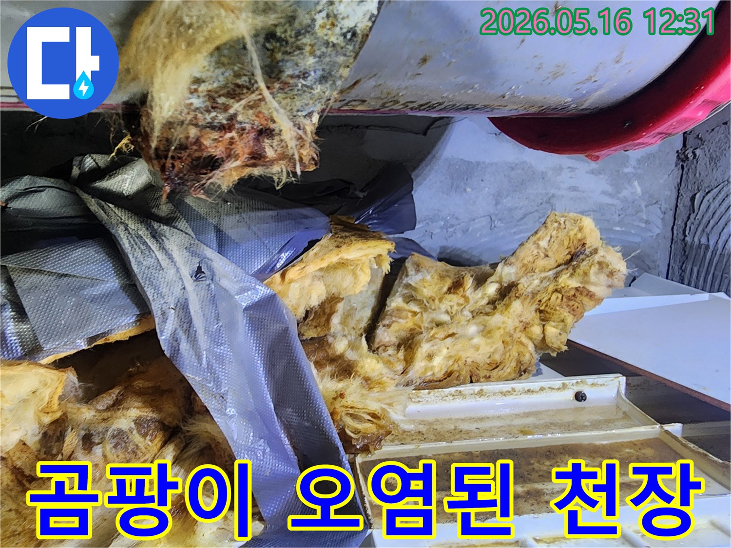 누수로 인해 곰팡이와 오염물질이 뒤섞인 천장 내부의 모습-입니다
