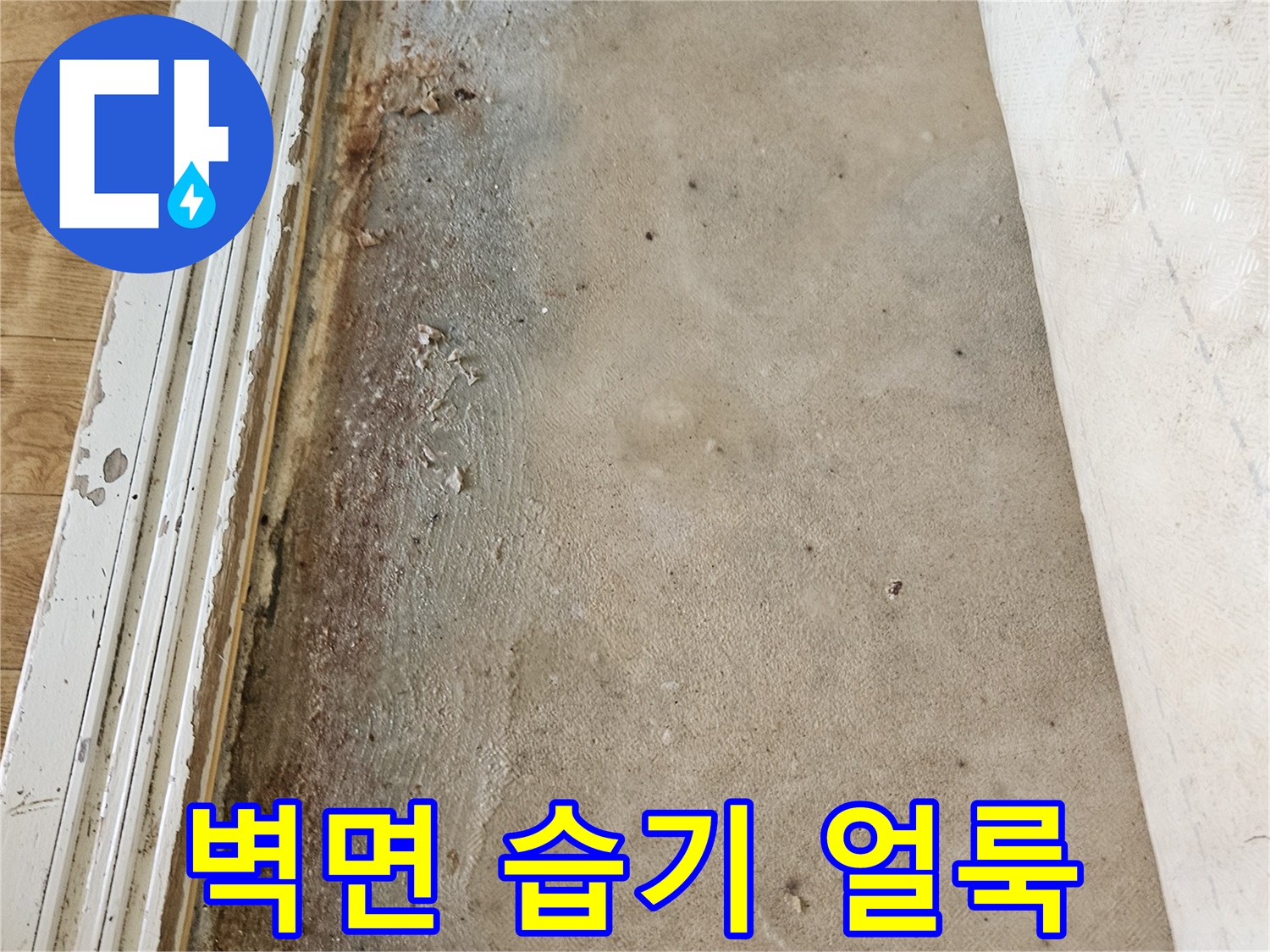 누수 지점-습기로 인해 변색된 벽체 마감 부위