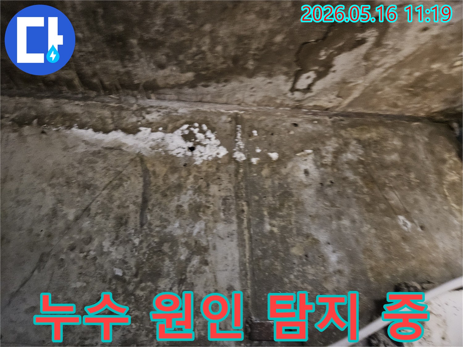 누수로 인해-벽면 마감재가-손상되고-곰팡이가 발생한-현장을-정밀하게 탐지하는-모습