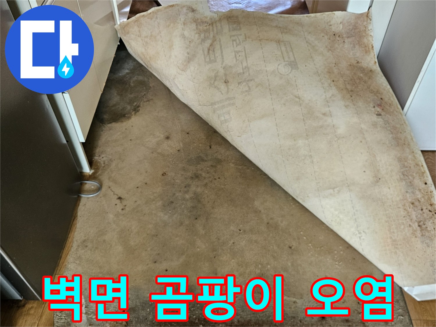 콘크리트 벽면에-발생한 광범위한 곰팡이와 변색