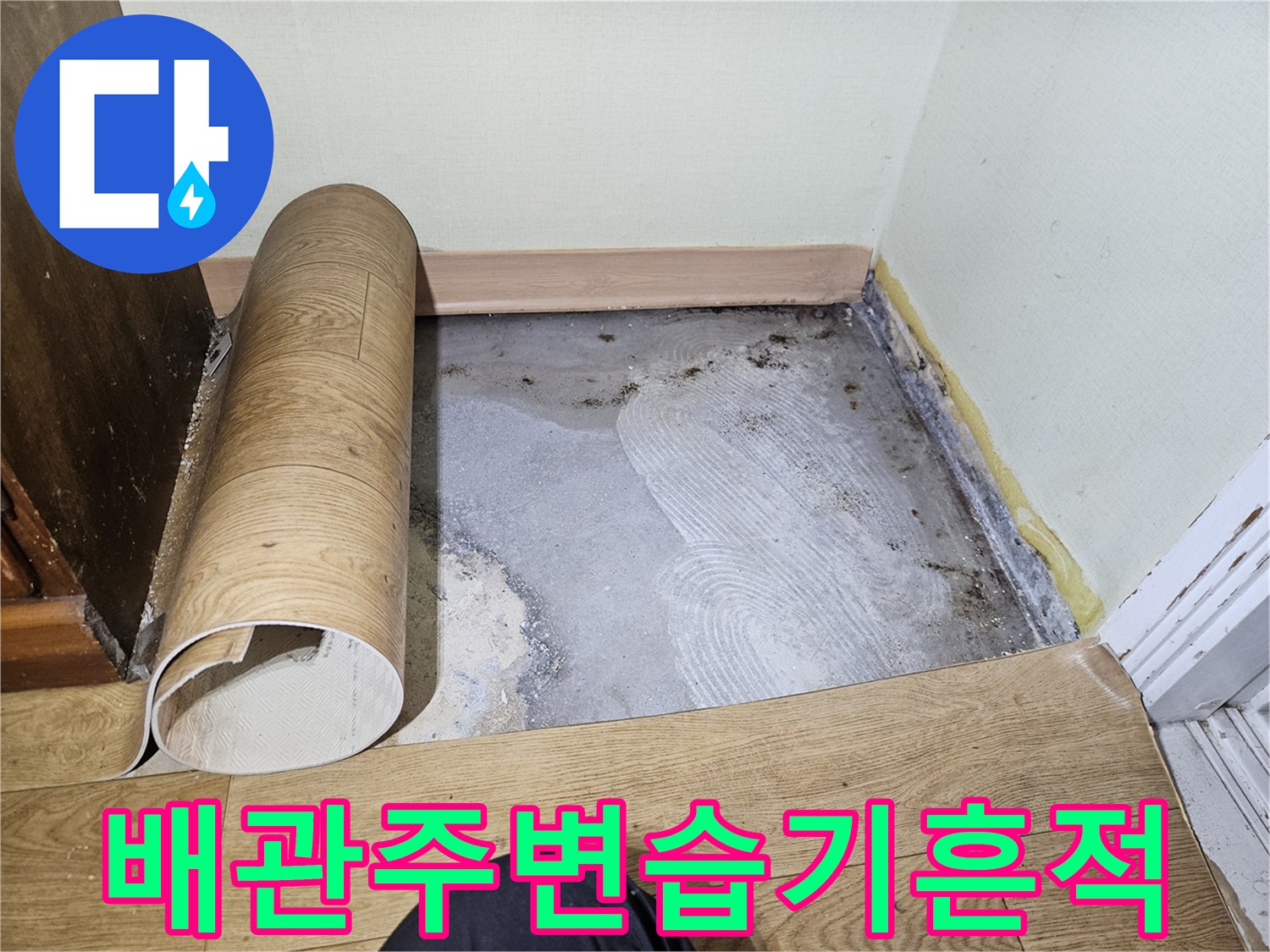 누수-지점으로-판명된-바닥-콘크리트의-젖은-모습