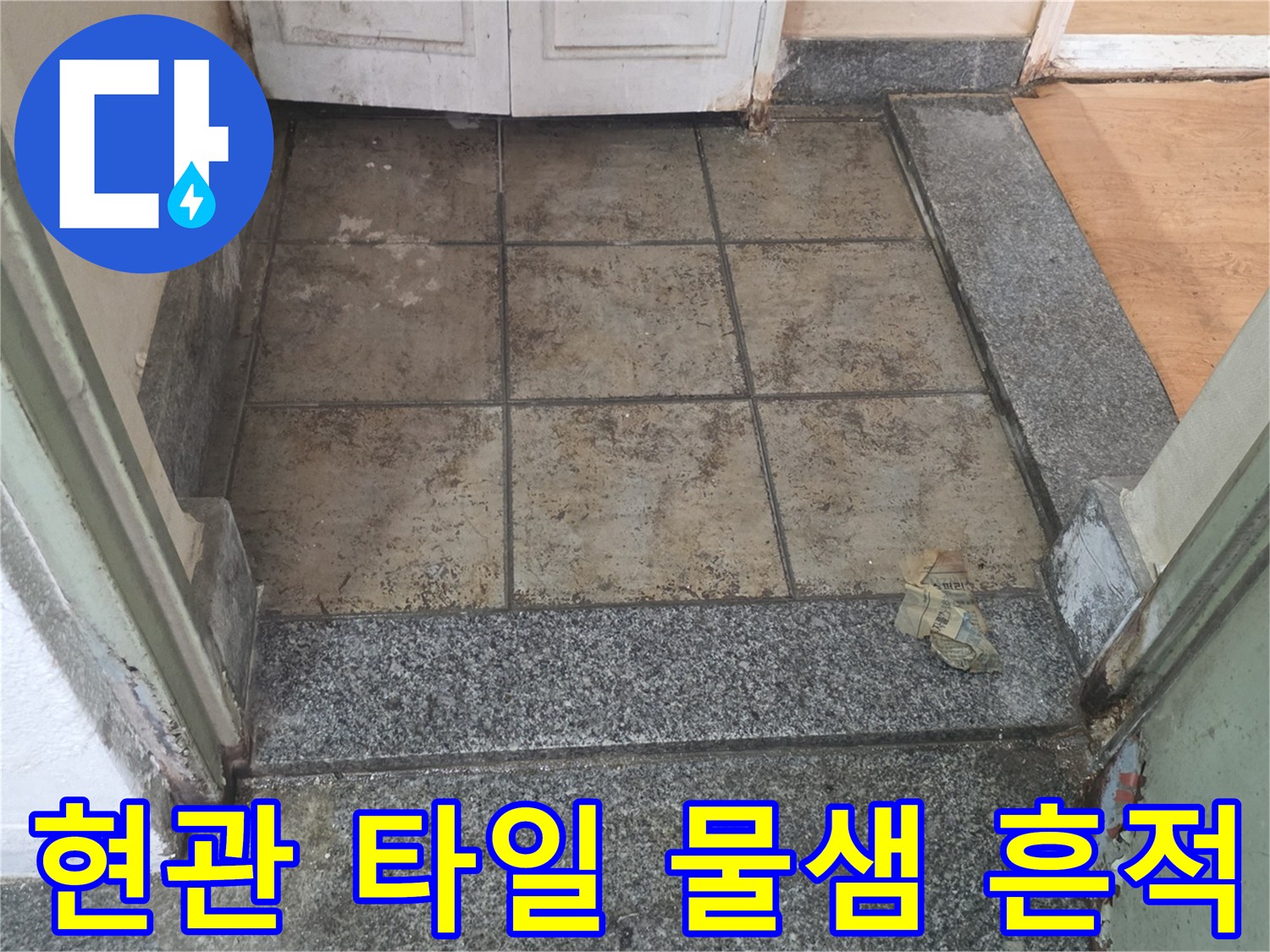 송파구 현관 입구 - 타일 틈새로 습기가 배어 나온 상태