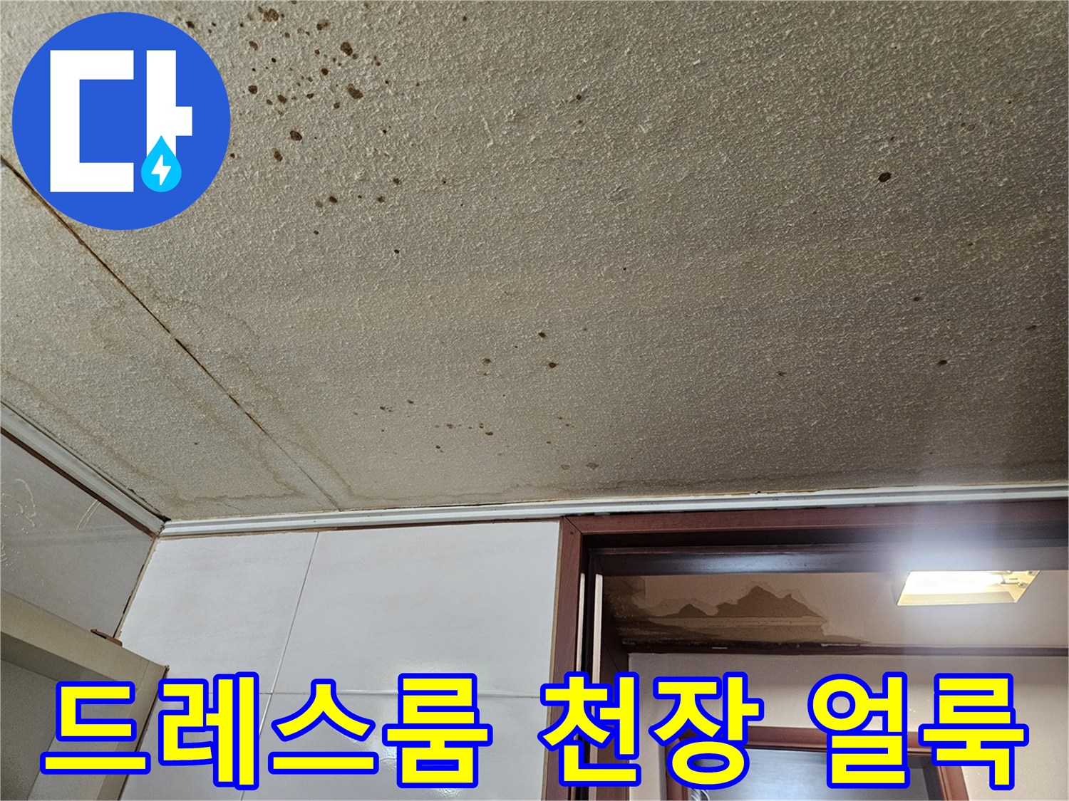 아파트 드레스룸-천장 벽지 곰팡이와 물자국 현상