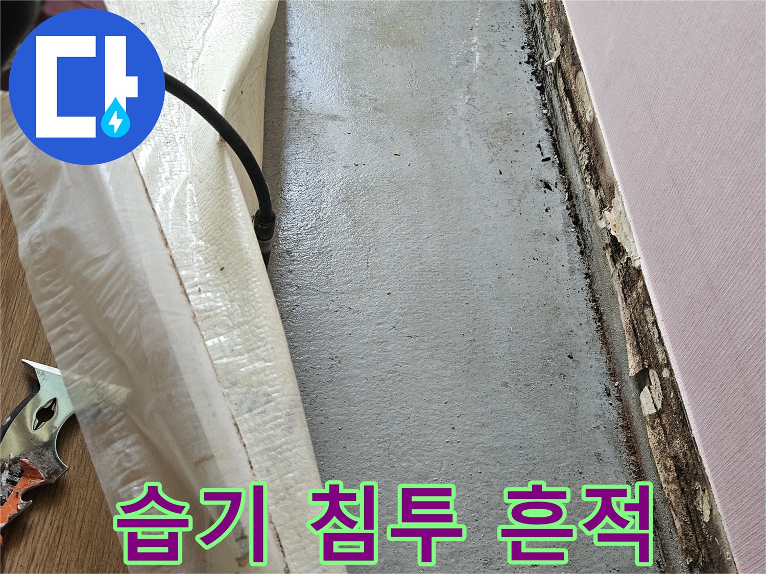 천장 마감재에-스며든 물샘 흔적과 얼룩 부위