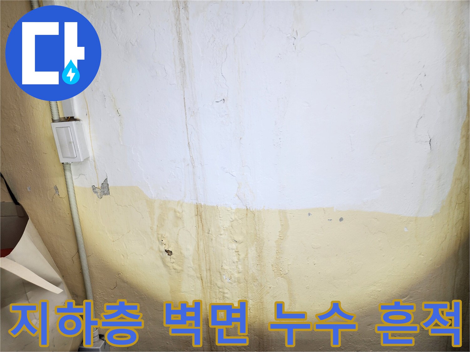 강동구 상가 지하층 벽면에 나타난 백화 현상과 물줄기 흐른 자국