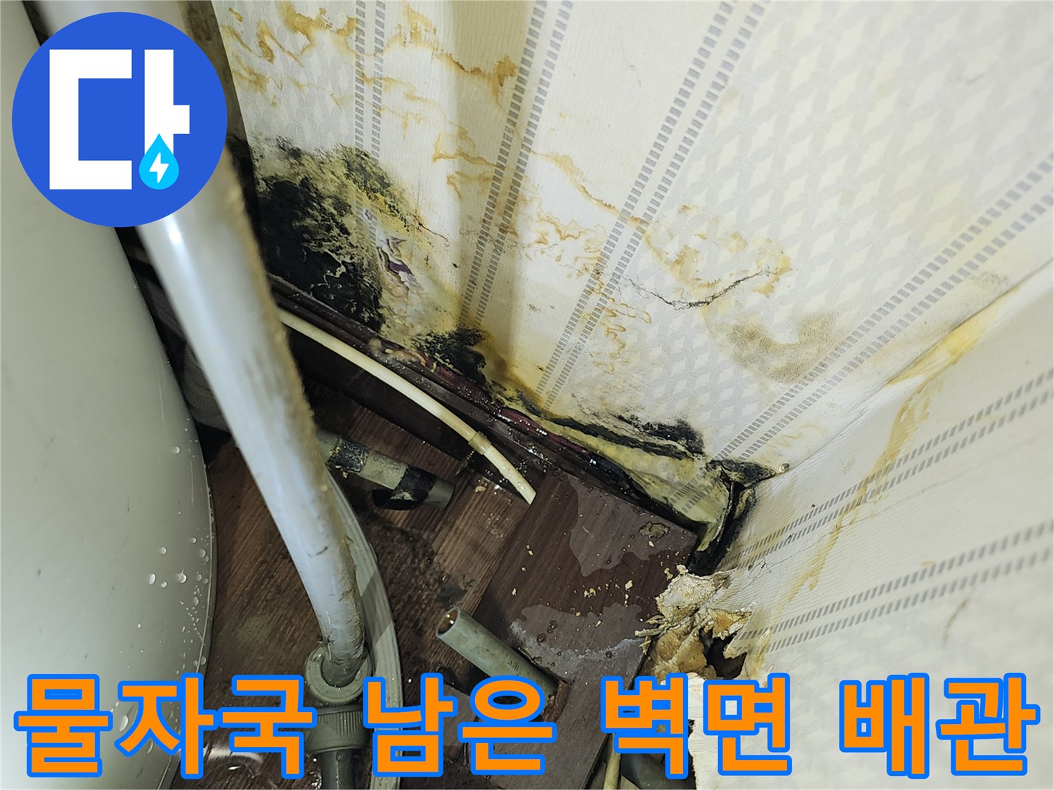 누수로 인해 변색되고 곰팡이가 생긴 배관 주변부