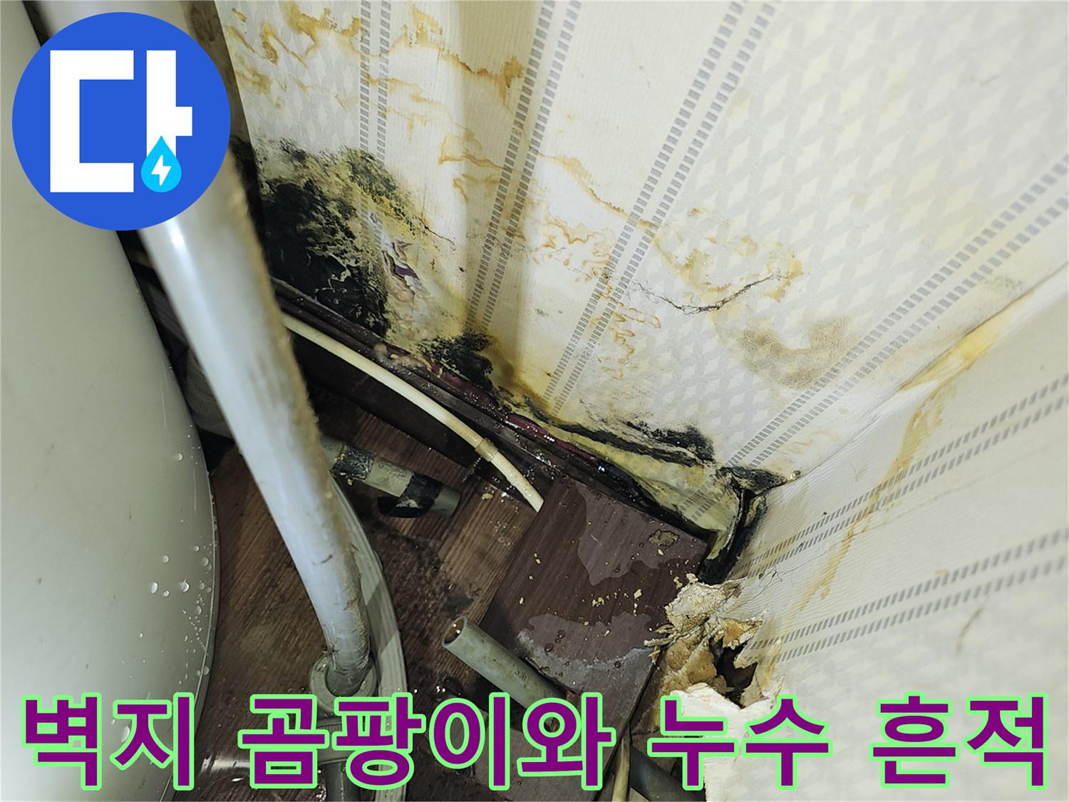 영등포구-여의도-상가-벽지-오염-및-곰팡이-발생-현장