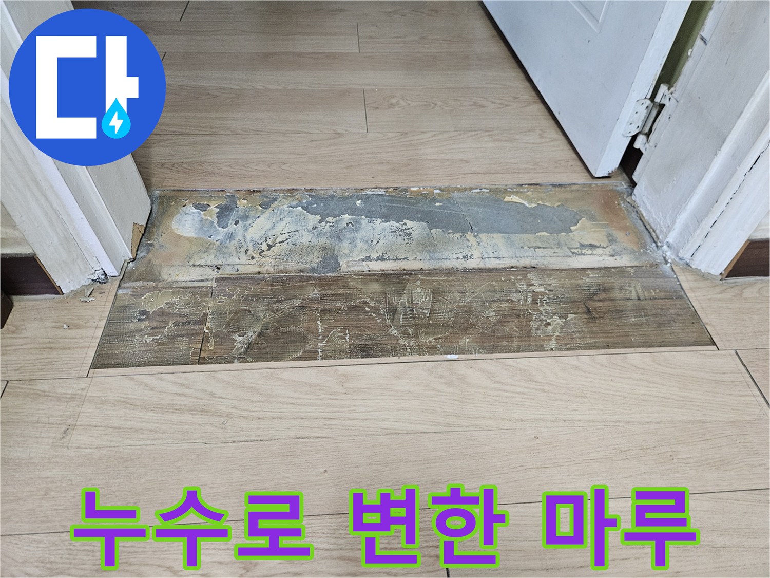 양천구 현관 입구-누수 영향으로 어둡게 변색된 마루