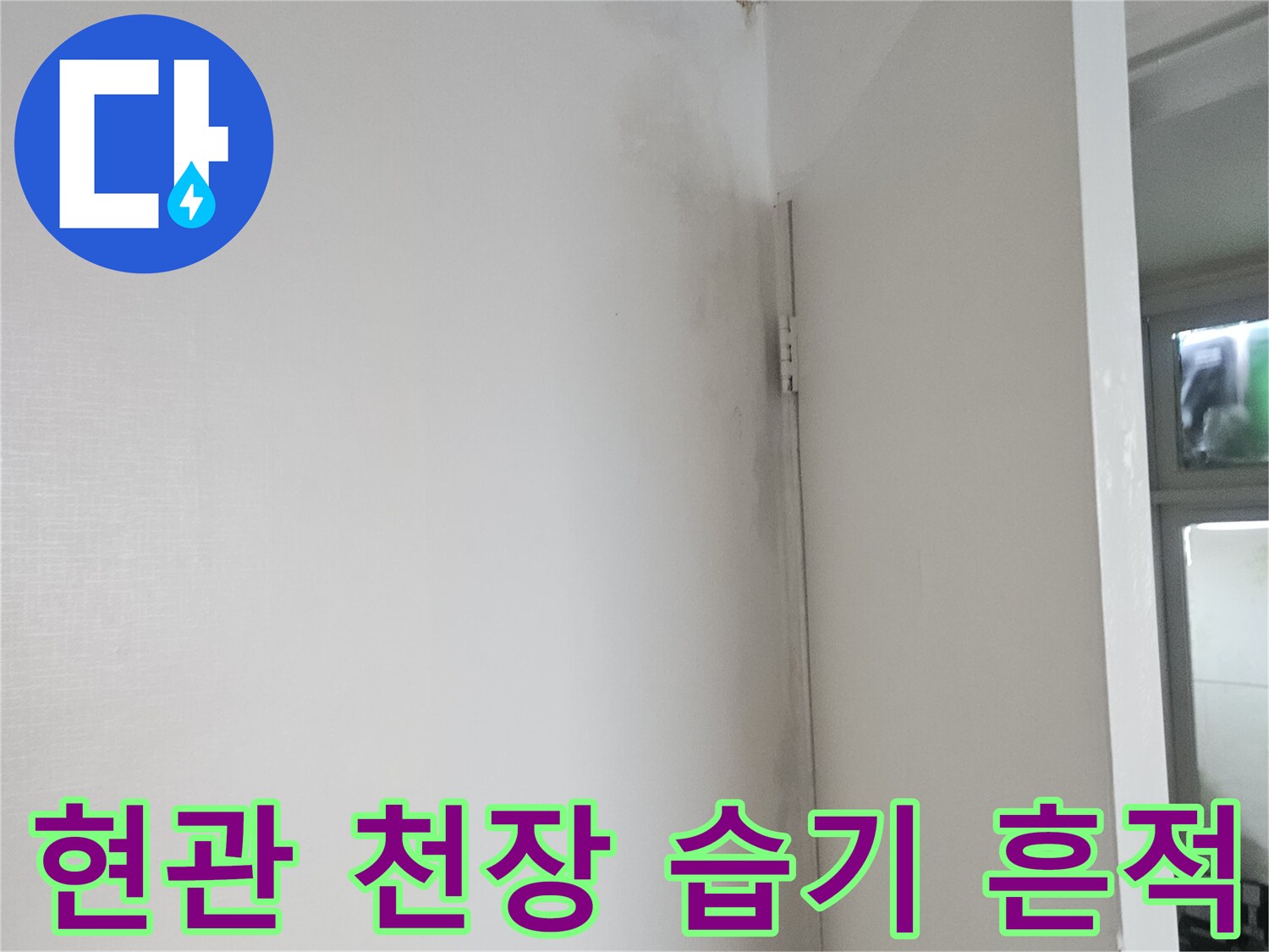 천장 마감재 경계의 젖은 얼룩 부위